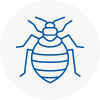 Bed Bug Extermination In Balby