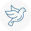 Bird Prevention Balby