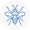 Balby Hornet Nest Removals