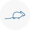 Mice Exterminators In Balby
