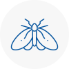Moth Control Specialists In Balby