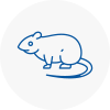 Rat Control Balby