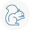 Balby Rodent Removals